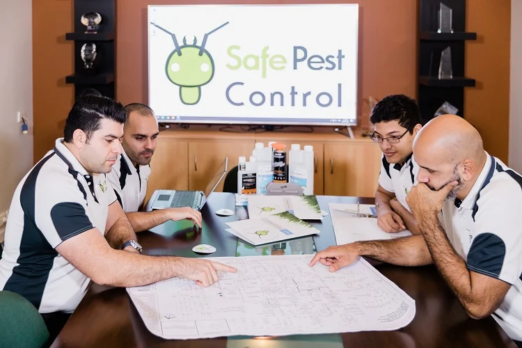 Living with Cockroaches? Safe Pest Control Experts are Here